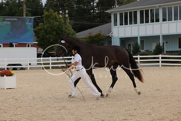 HLK_1773