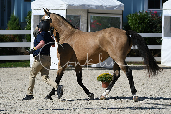 HSM_4648