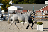 HSM_5539