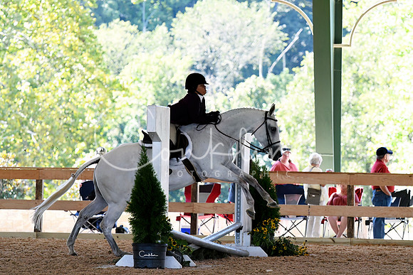 HSM_1198-1