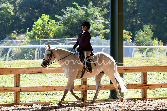 HSM_0596-1