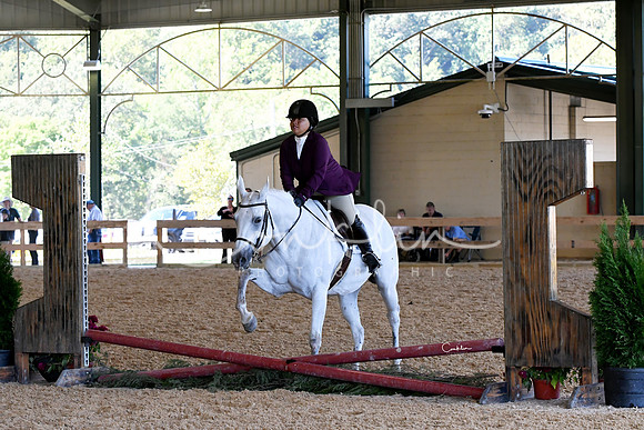 HSM_1195-1