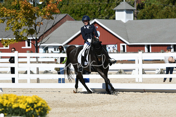HSM_3446