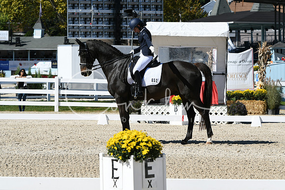 HSM_3447