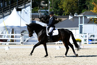 HSM_3871