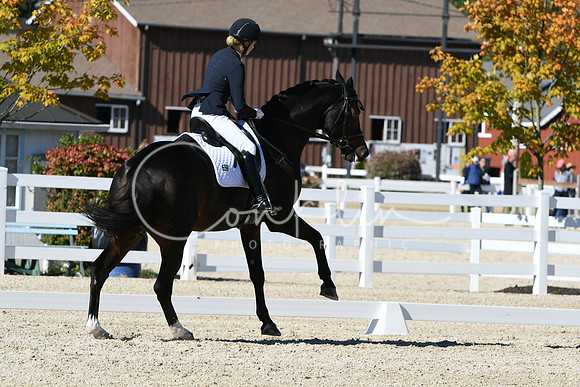 HSM_3933
