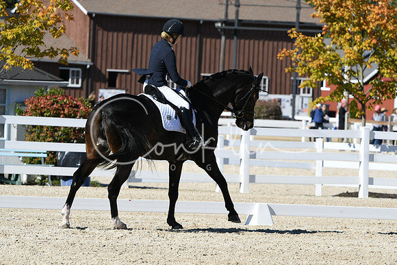 HSM_3934