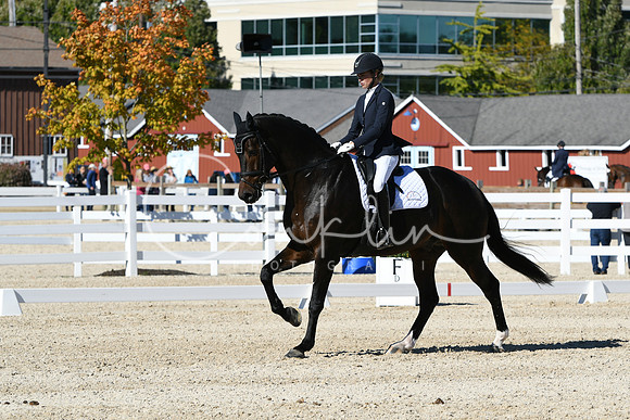 HSM_3937