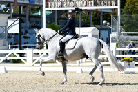 HSM_3294