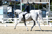 HSM_3295