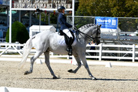 HSM_3301