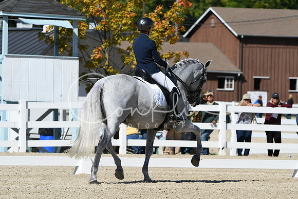 HSM_3304