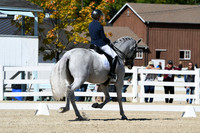 HSM_3305