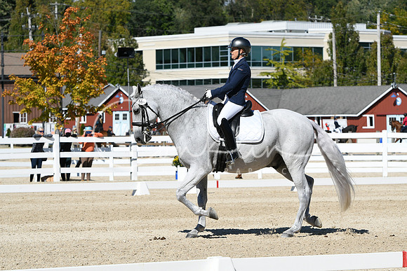 HSM_3311
