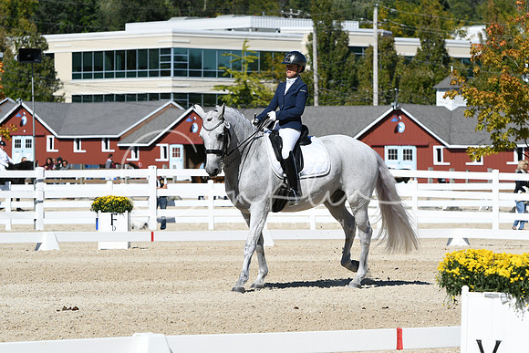 HSM_3347