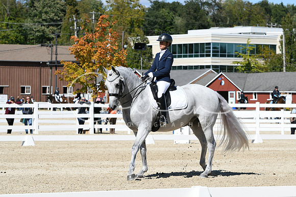 HSM_3349