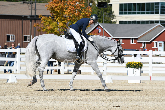 HSM_3381