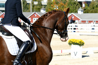 HSM_3575