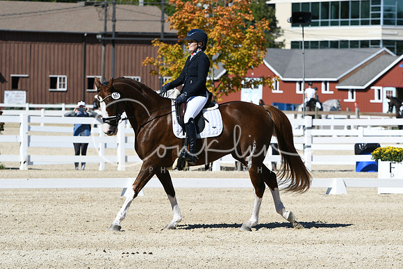 HSM_3578
