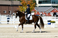 HSM_3577