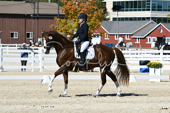HSM_3577