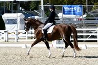 HSM_3582