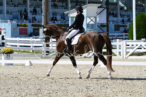 HSM_3585
