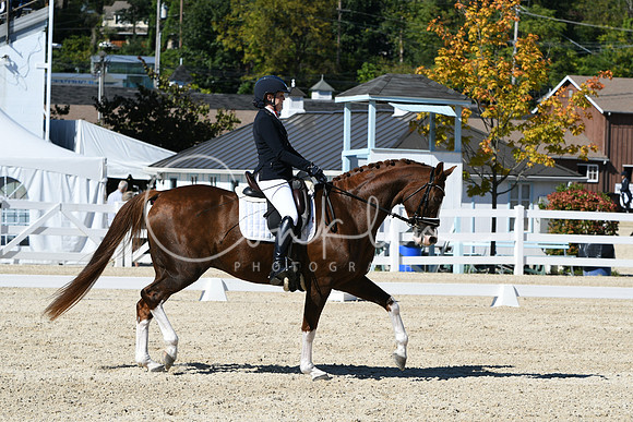 HSM_3610