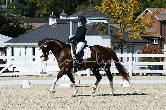 HSM_3611