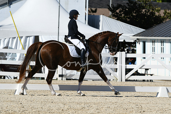 HSM_3626