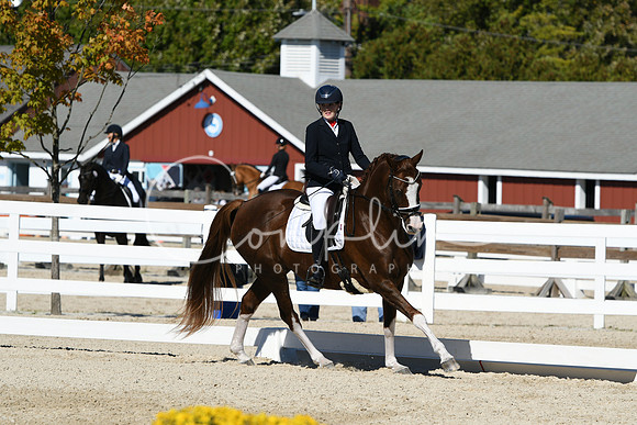 HSM_3628