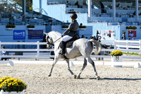 HSM_3803