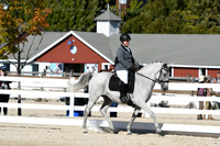 HSM_3805
