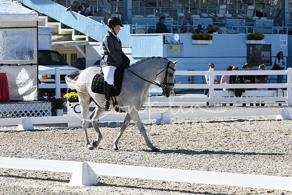 HSM_3837