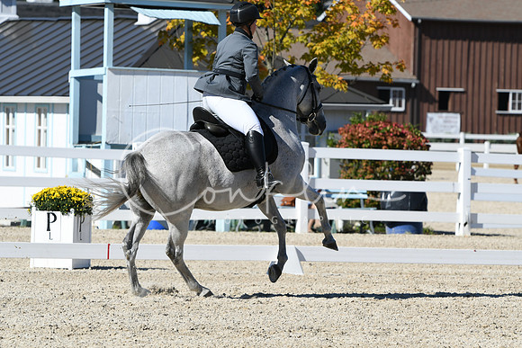 HSM_3851