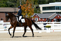 HSM_2933
