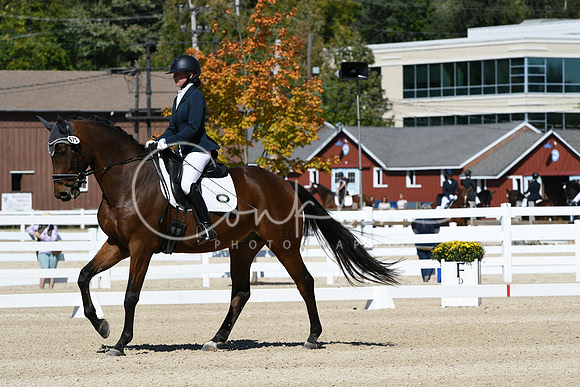 HSM_2933