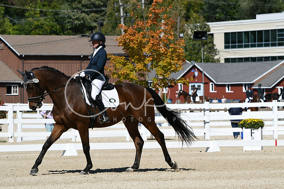 HSM_2934