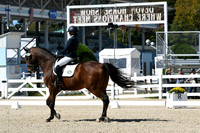 HSM_2937