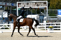 HSM_2936