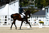 HSM_2948