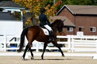 HSM_2951