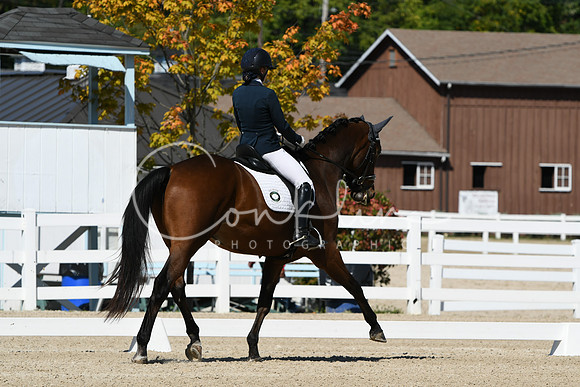 HSM_2951