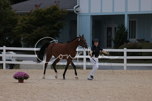 HLK_2116