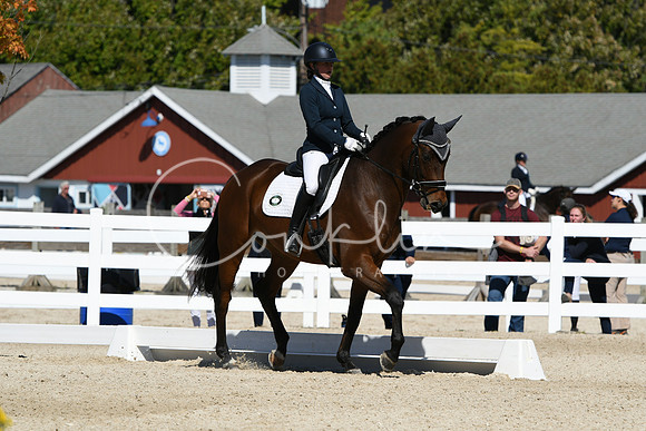 HSM_2954