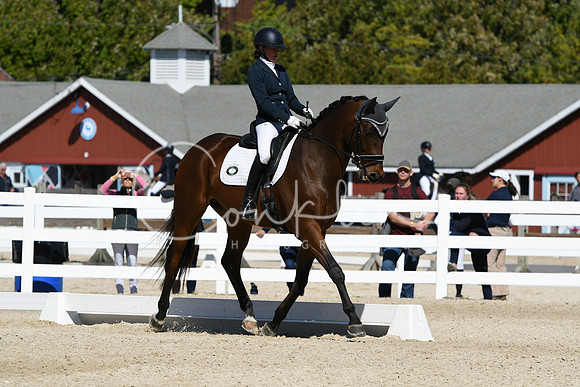HSM_2955