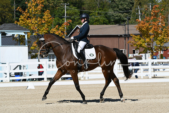 HSM_2963