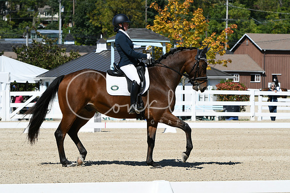 HSM_2985