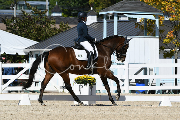 HSM_2992