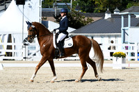 HSM_3462